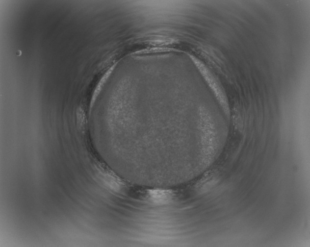 X0000074040371200609061214