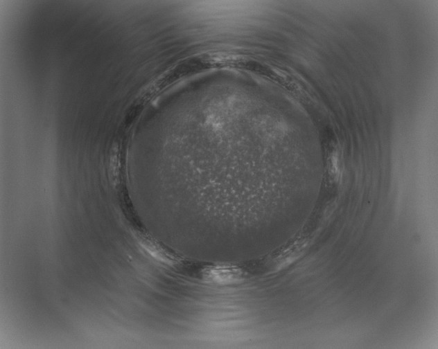 X0000074040372200609061214