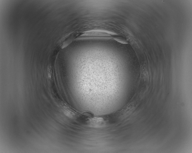 X0000074040374200609061214