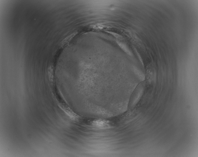 X0000074040375200609061214