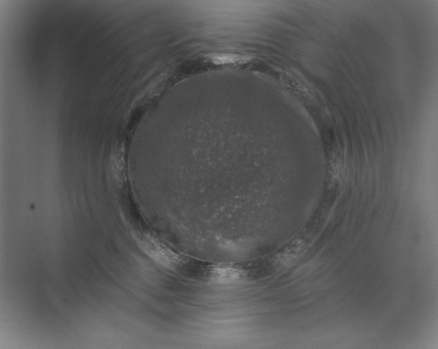 X0000074040376200609061214