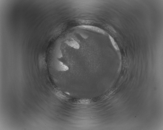 X0000074040377200609061214