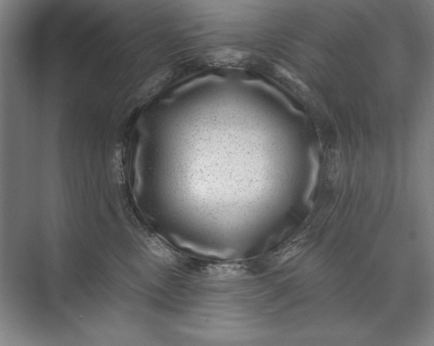 X0000074040378200609061214