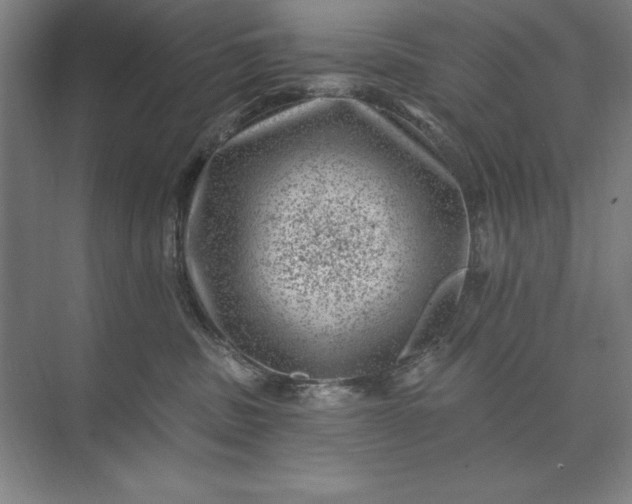 X0000074040379200609061214