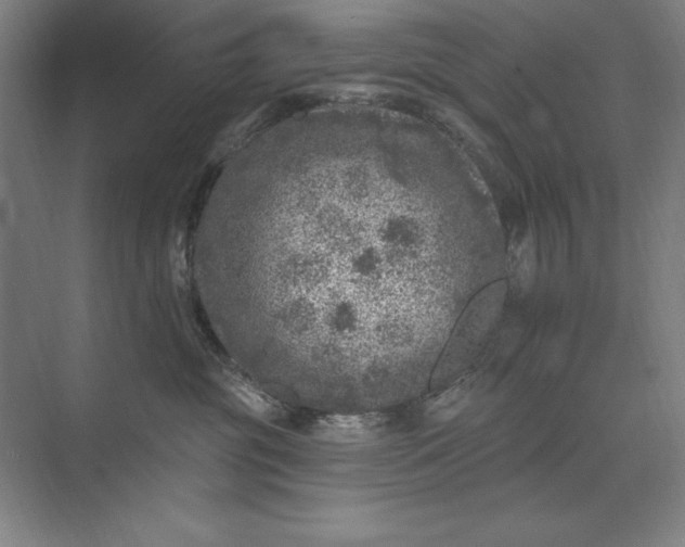 X0000074040381200609061214