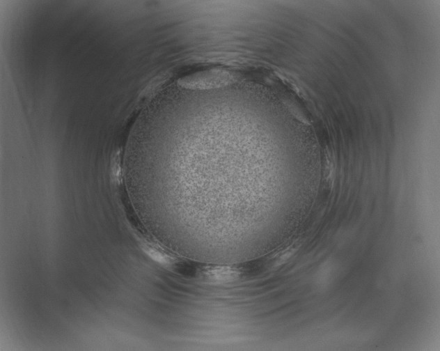 X0000074040383200609061214