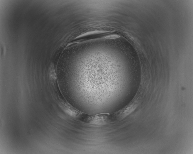 X0000074040384200609061214