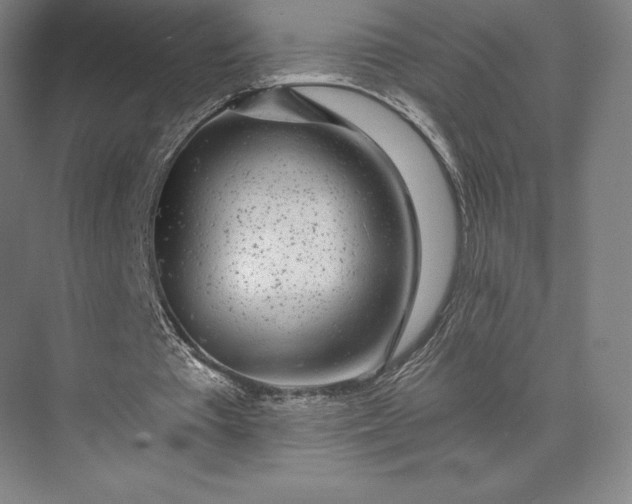 X0000074040385200609061213