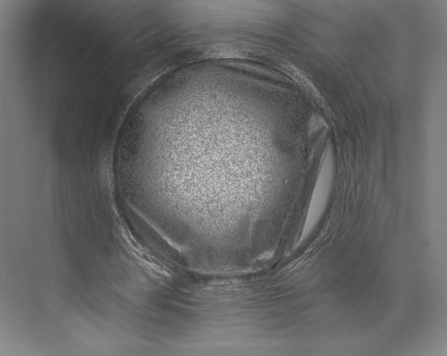 X0000074040386200609061213