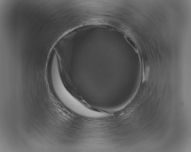 X0000074040387200609061213