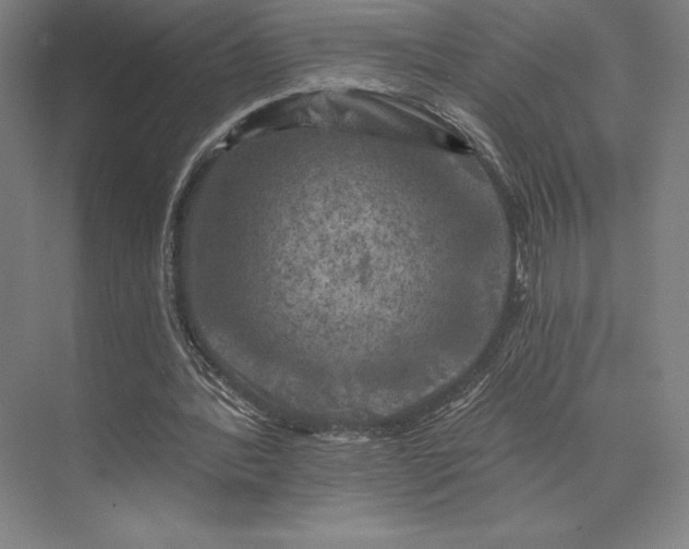 X0000074040388200609061213