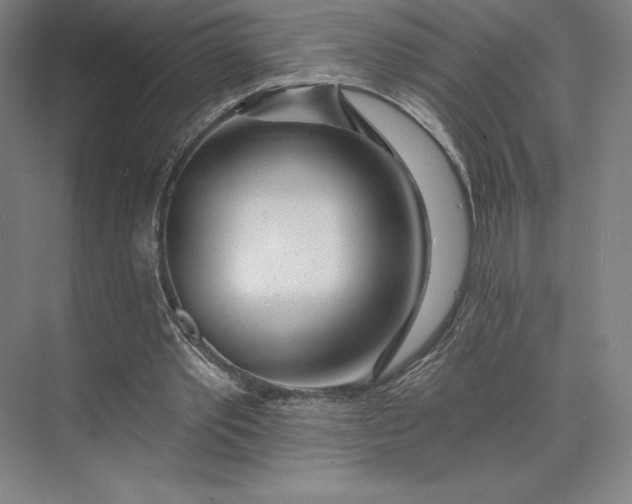 X0000074040389200609061213