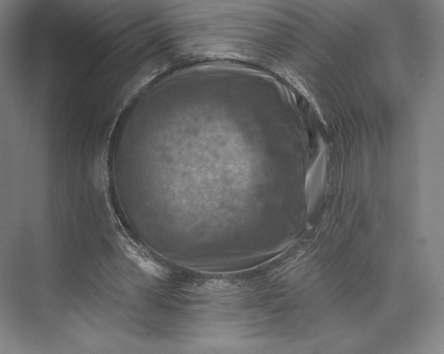 X0000074040390200609061213