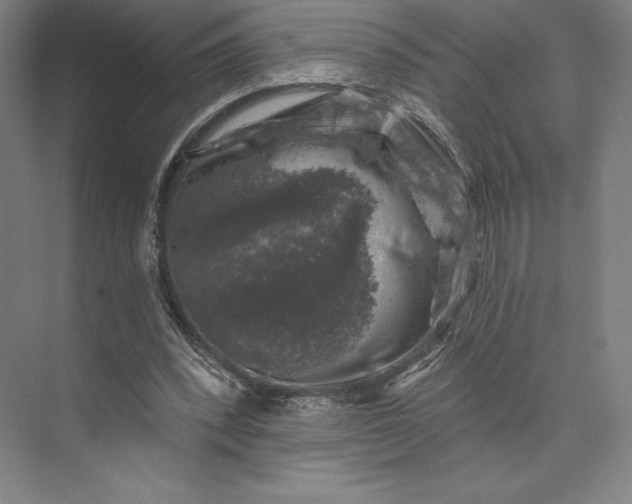 X0000074040392200609061213