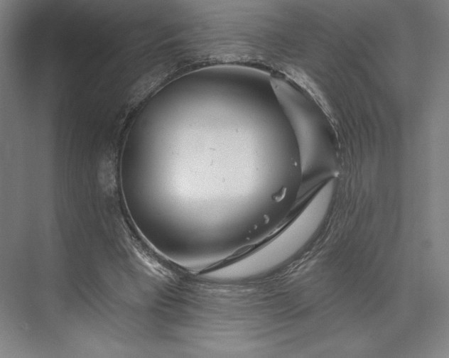 X0000074040393200609061213