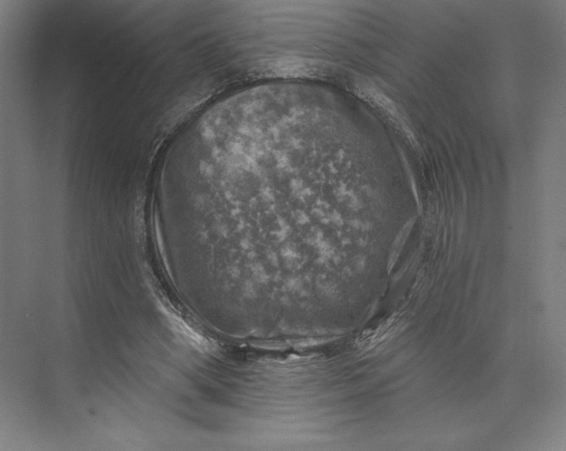 X0000074040394200609061213