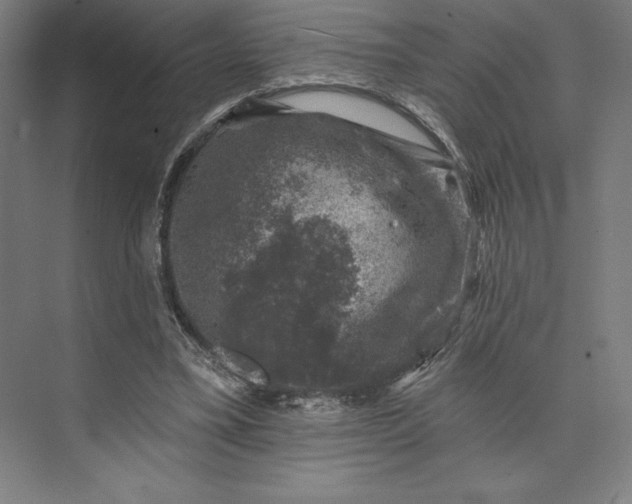 X0000074040395200609061213