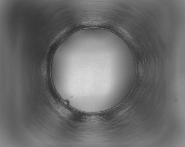 X0000074040396200609061213