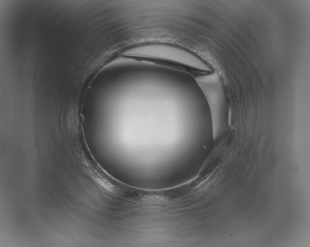 X0000074040397200609061213