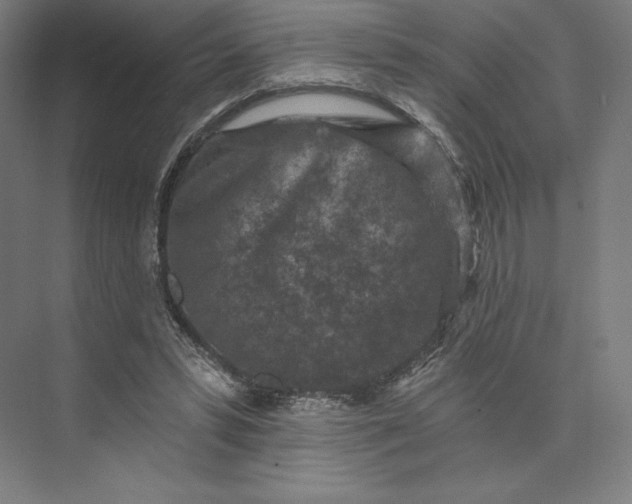 X0000074040399200609061213