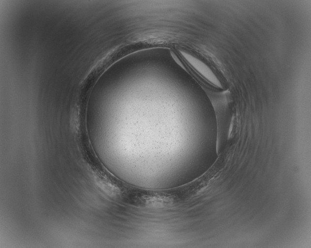 X0000074040400200609061213