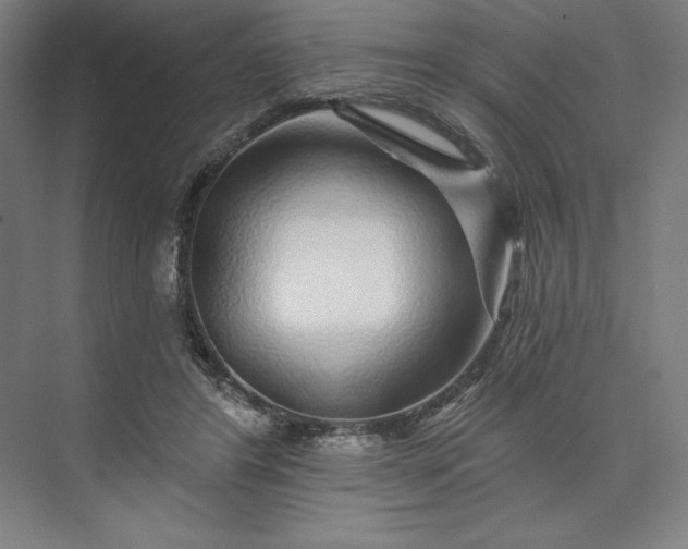 X0000074040404200609061213