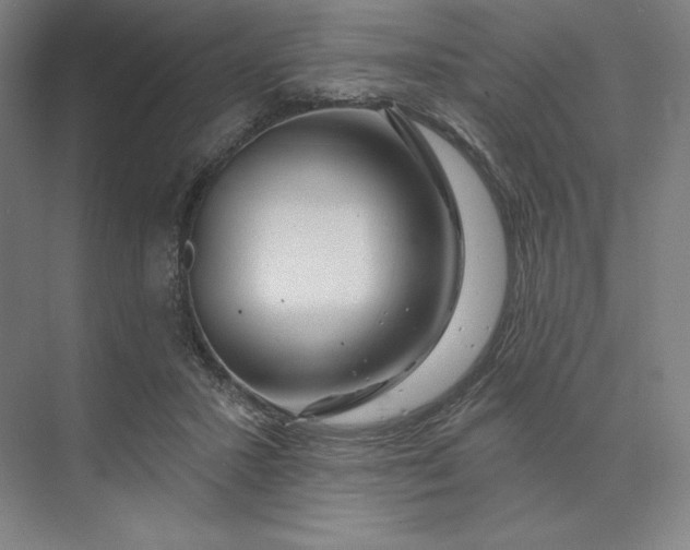 X0000074040407200609061213