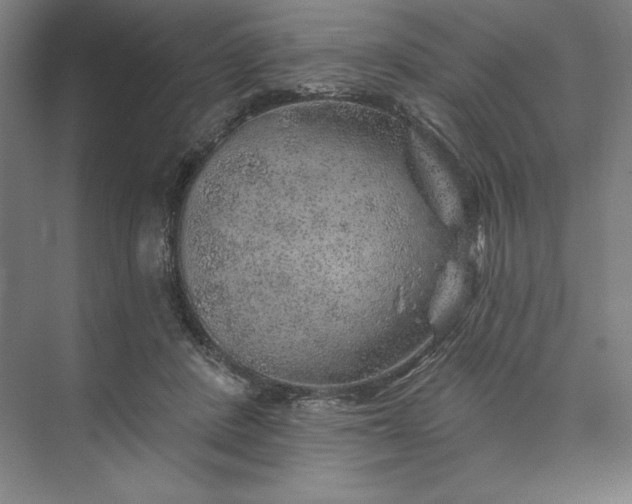 X0000074040408200609061213