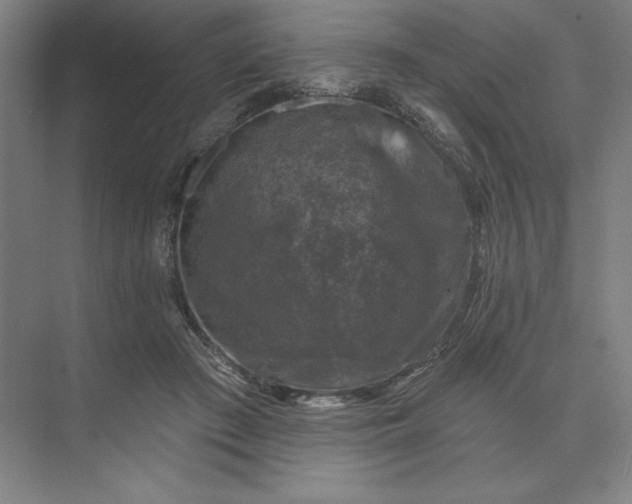 X0000074040409200609061213