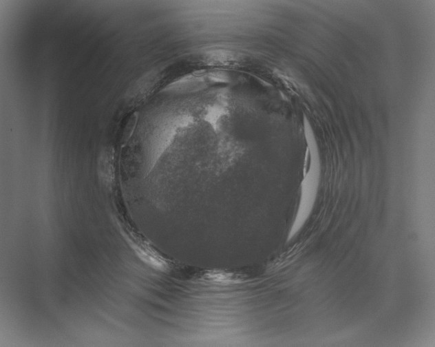 X0000074040413200609061213