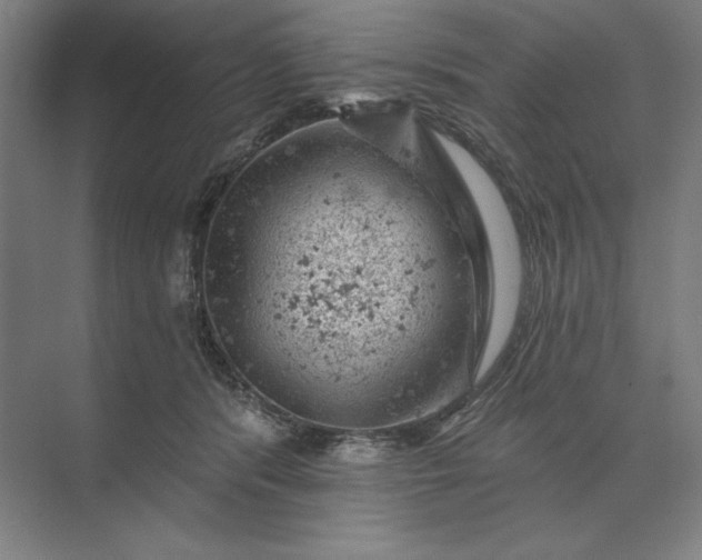 X0000074040416200609061213