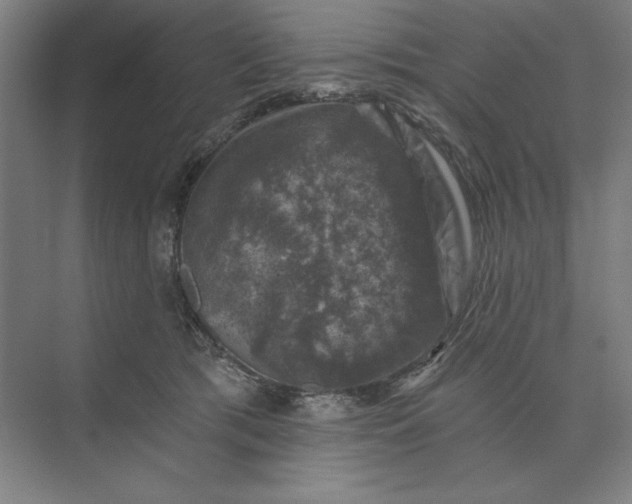 X0000074040417200609061212