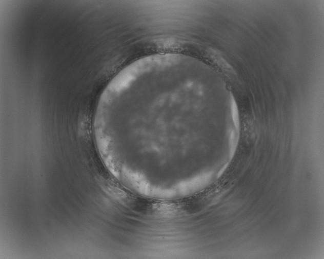 X0000074040419200609061212