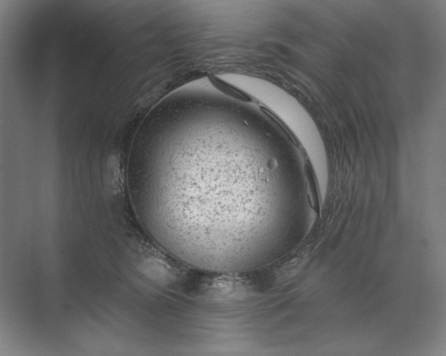 X0000074040420200609061212