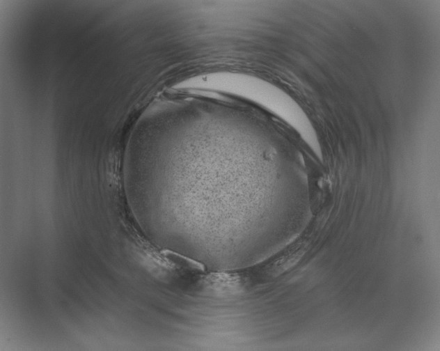 X0000074040421200609061212