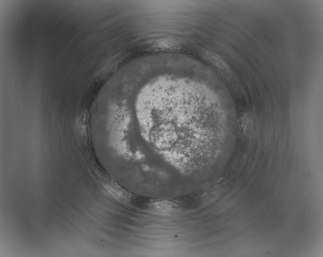 X0000074040423200609061212