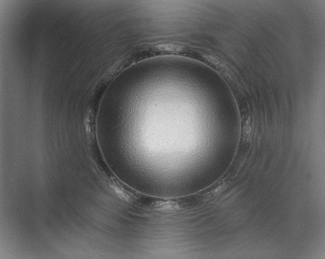 X0000074040424200609061212