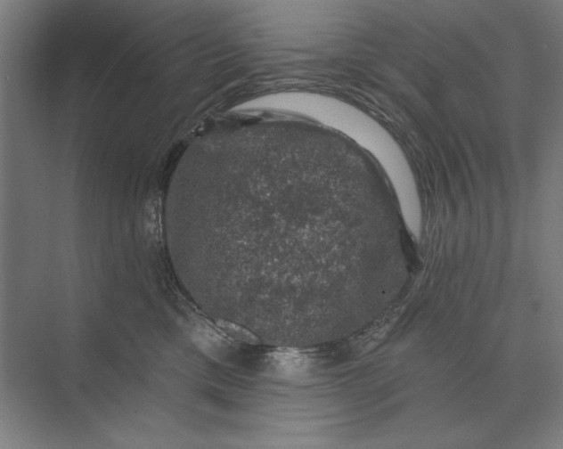 X0000074040425200609061212