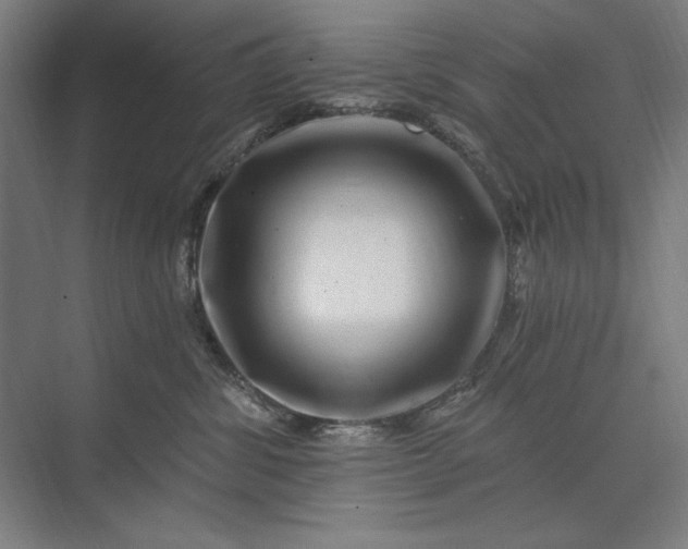 X0000074040428200609061212