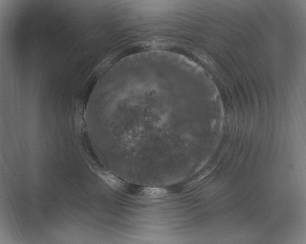 X0000074040429200609061212