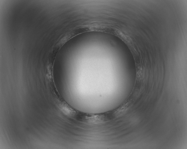 X0000074040430200609061212