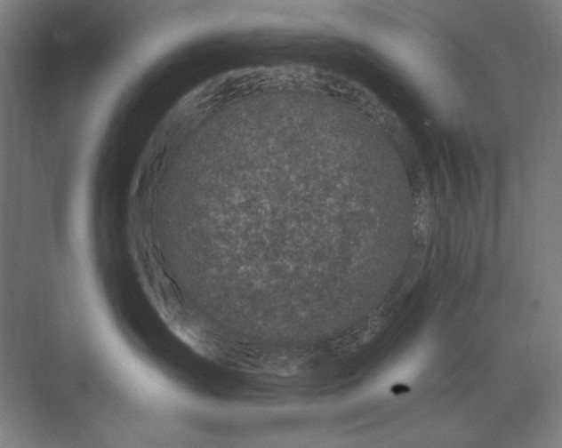 X0000074040431200609061212