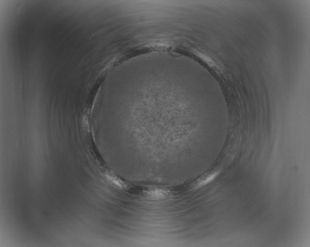 X0000074040432200609061212