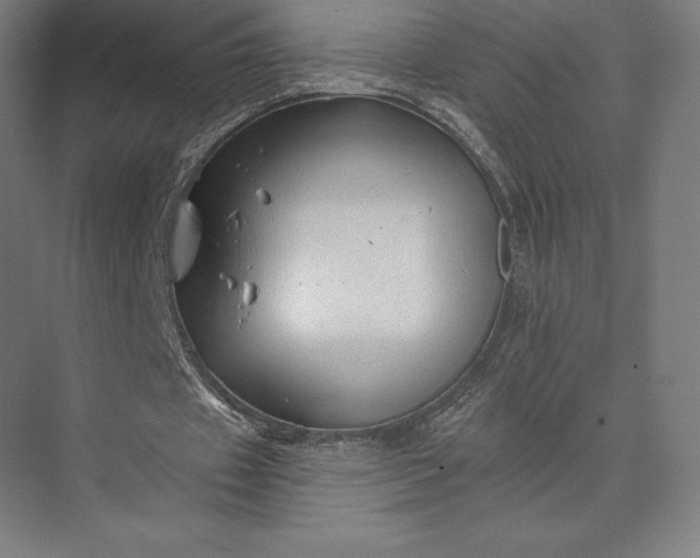 X0000074040433200609061211