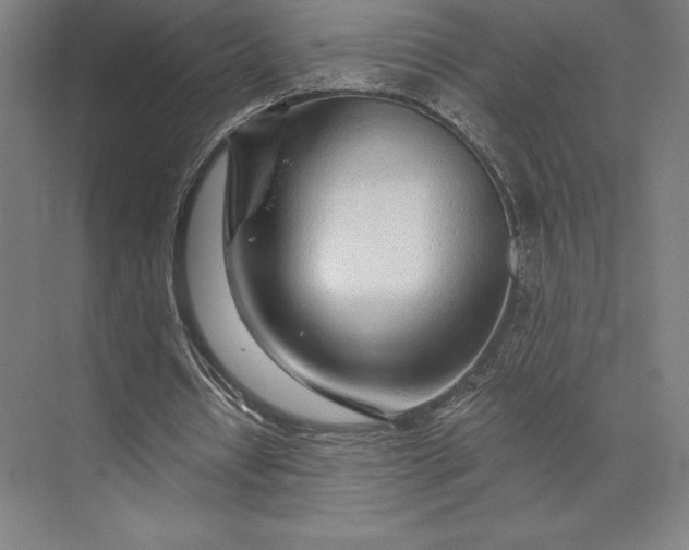 X0000074040434200609061211