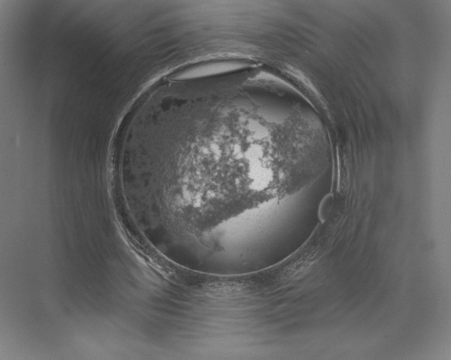 X0000074040435200609061211