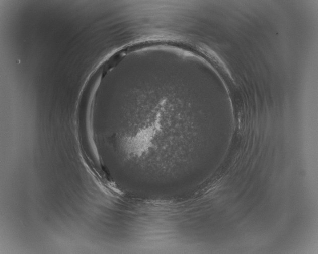 X0000074040436200609061211