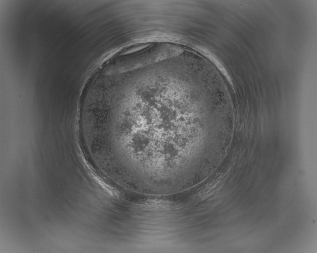 X0000074040437200609061211