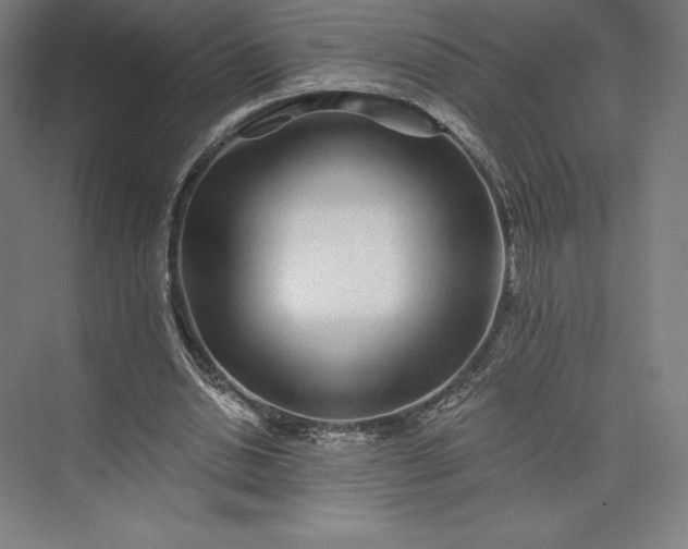 X0000074040438200609061212