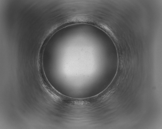 X0000074040439200609061212